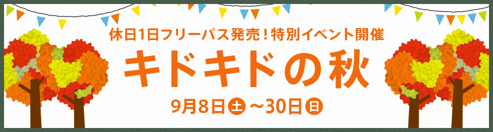 休日1日フリーパス販売について