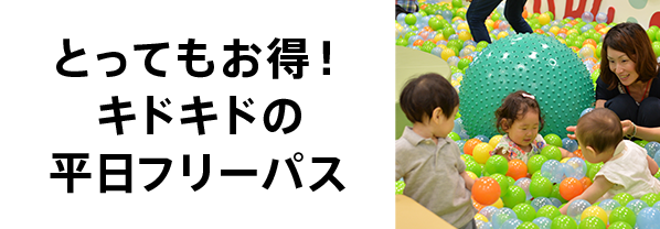 平日フリーパス