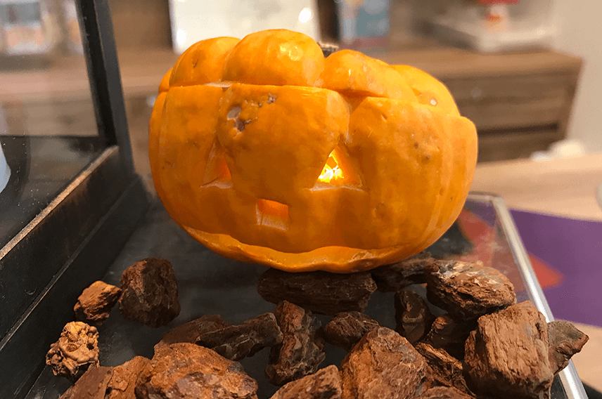 【お知らせ】本物かぼちゃでジャック・オ・ランタンづくり