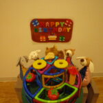 予約制「1歳のお誕生日会」