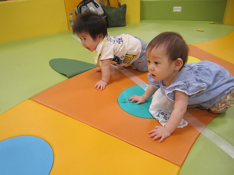 7月31日のハイハイレースの様子