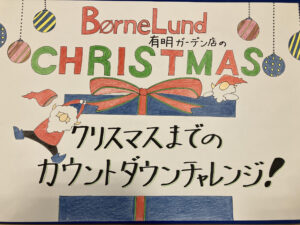 イベント情報　「クリスマスまでのカウントダウンチャレンジ！」