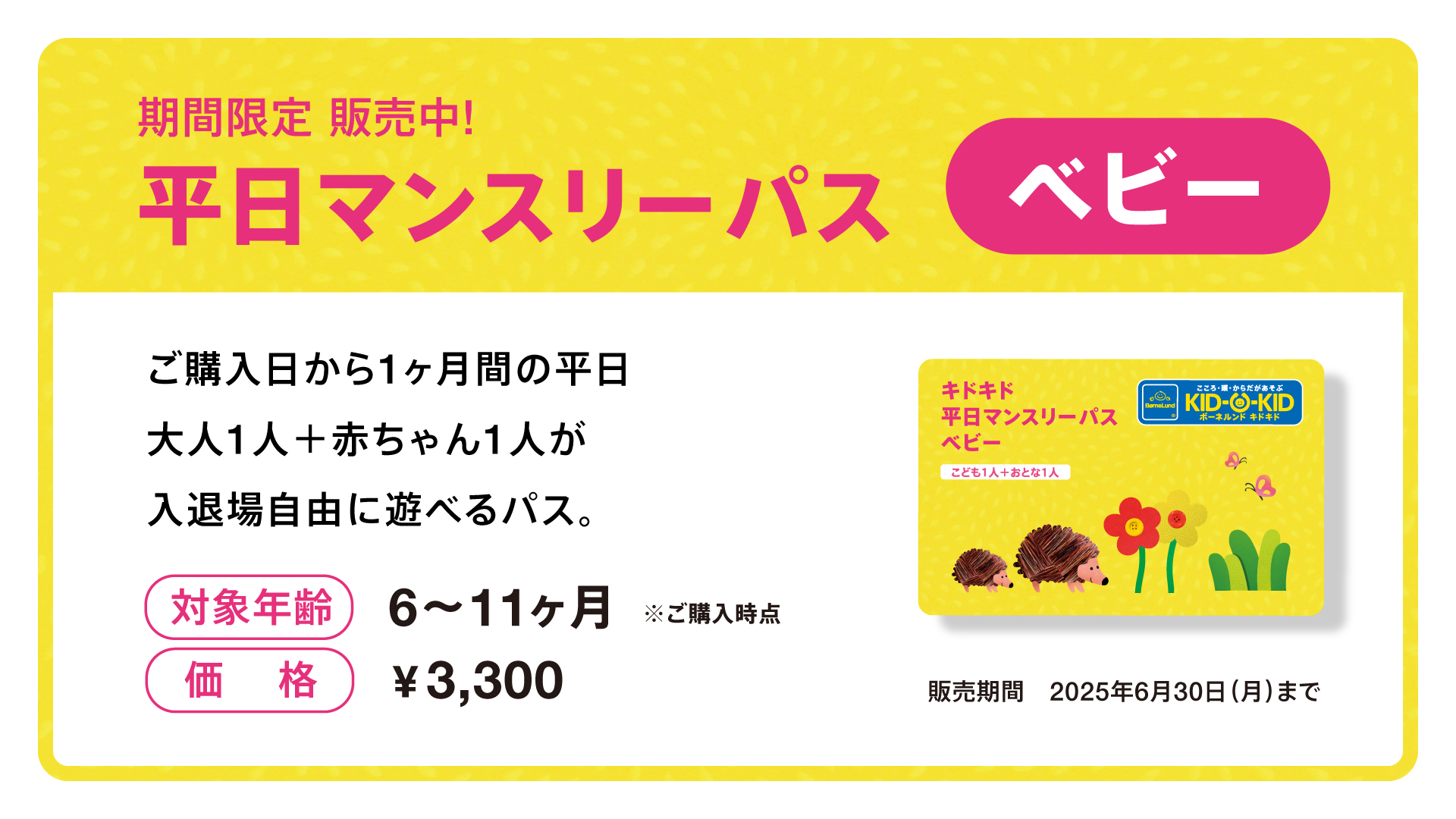 ★流山店限定の新プラン★平日マンスリーパス「ベビー」が登場!!
