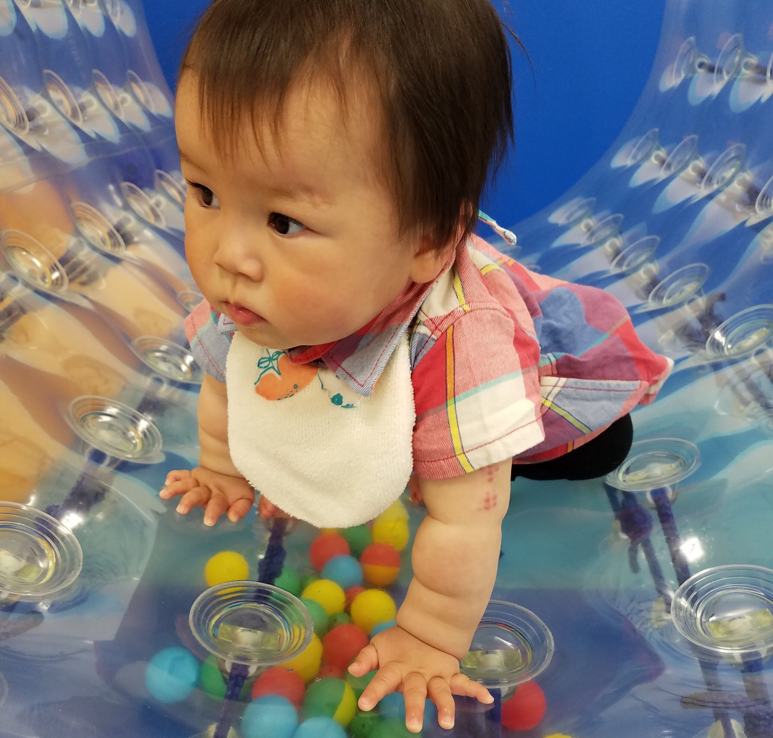 【要予約】はいはいチャレンジ